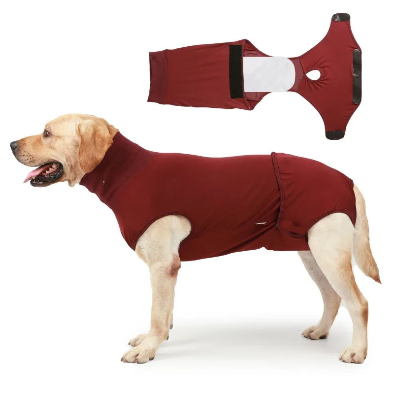 Recovery Suit for Dogs & Cats After Surgery