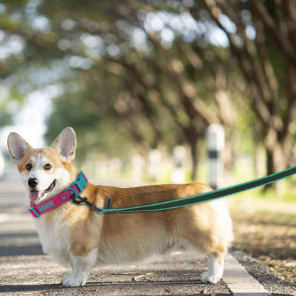 1.5M 2M 3M 15M Medium small Long Dog Leash
