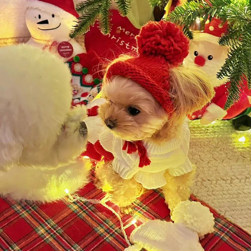 Pet Knitted Dog Hat. Suitable for Small and Medium Dogs and Cats