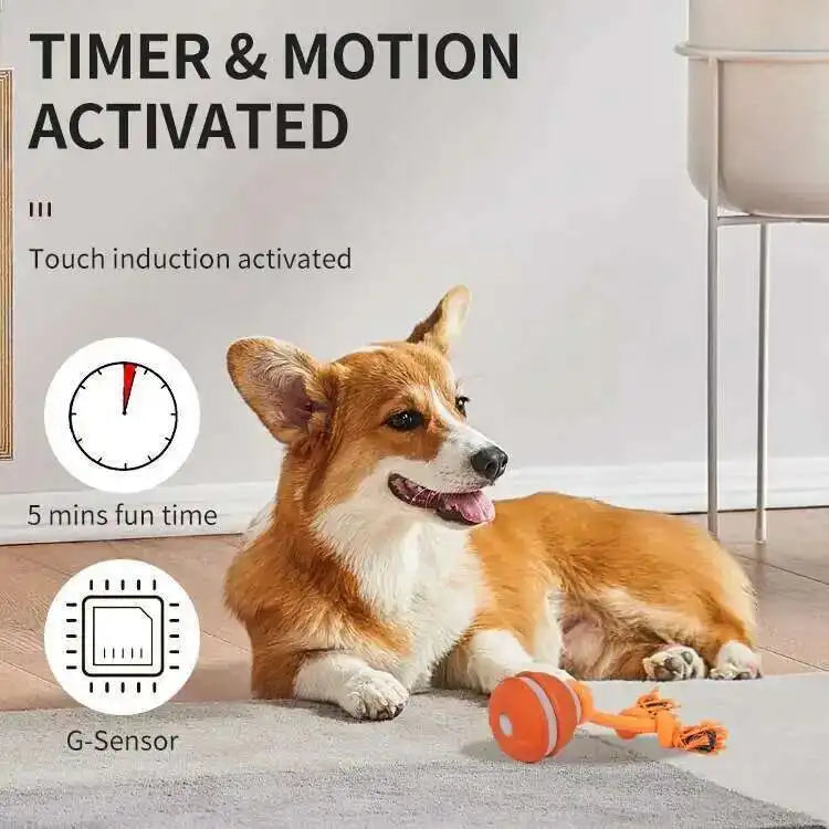 Smart Dog Toys Interactive Teasing Ball Motion Activated