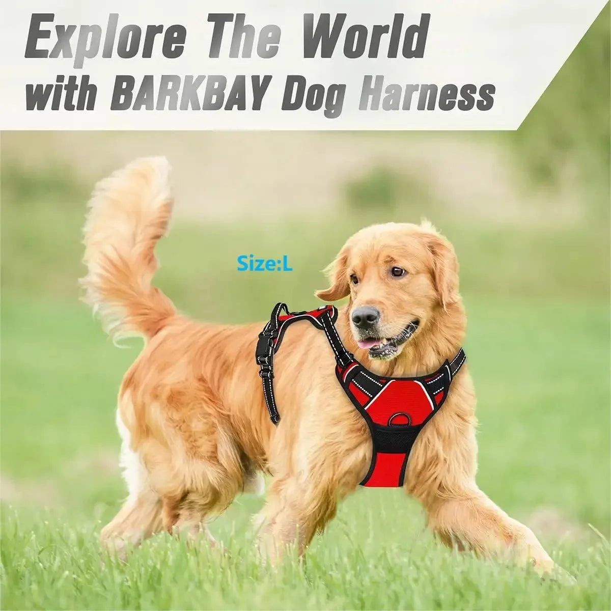 Dog Collars Harness. Big Dog Vests.  Super comfortable.