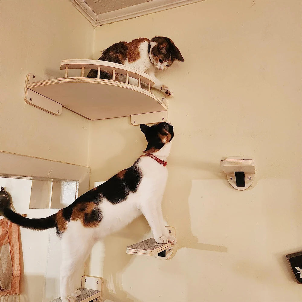 Cat Climbing Shelf with Wall Mounted Four Step Stairway.