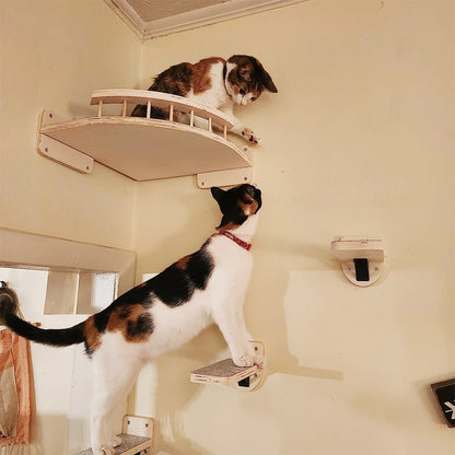 Cat Climbing Shelf with Wall Mounted Four Step Stairway.