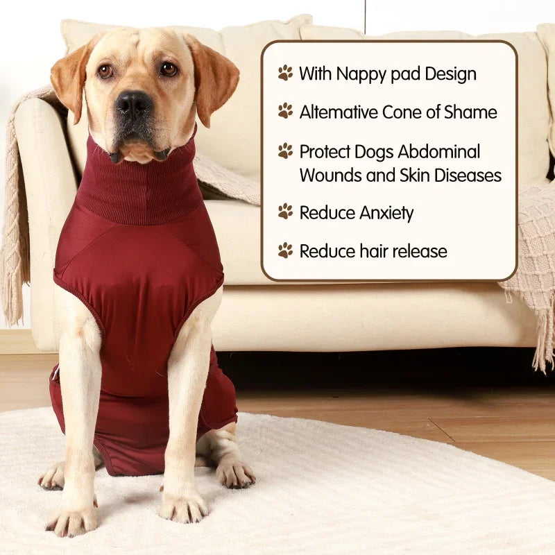 Recovery Suit for Dogs & Cats After Surgery