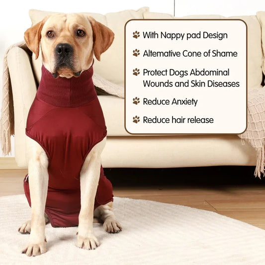 Recovery Suit for Dogs & Cats After Surgery