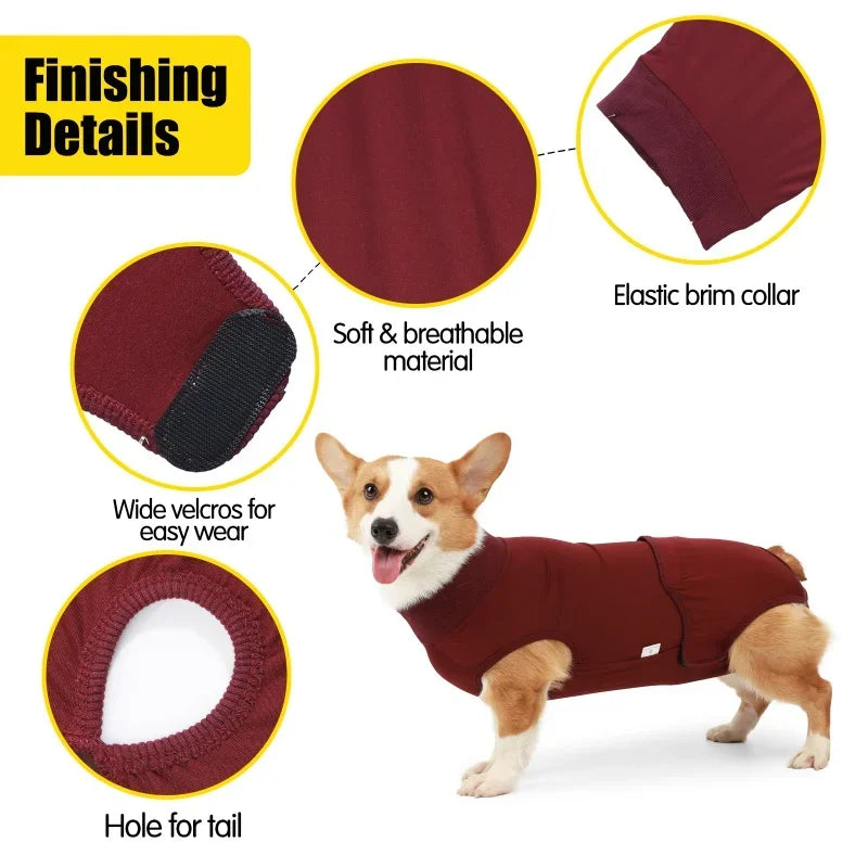 Recovery Suit for Dogs & Cats After Surgery