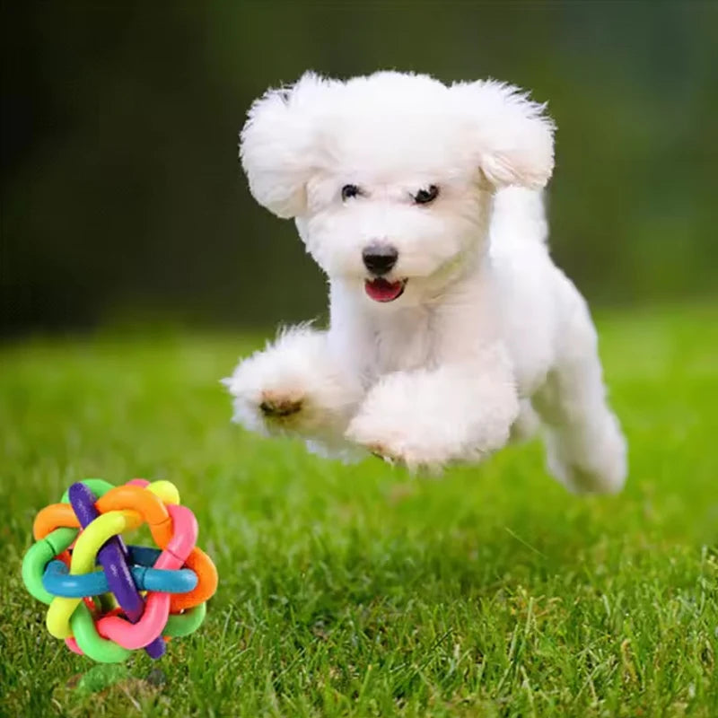 Colorful Ball Woven Toy Popular Dog Bite Resistant Rubber for Pet Chewing and Playing Fetching.