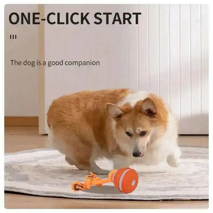 Smart Dog Toys Interactive Teasing Ball With Motion Activated Automatic Moving Squeaky Dog Toy Balls Puppy Chew Toys Knot Rope