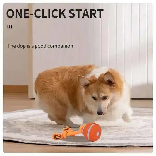 Smart Dog Toys Interactive Teasing Ball With Motion Activated Automatic Moving Squeaky Dog Toy Balls Puppy Chew Toys Knot Rope
