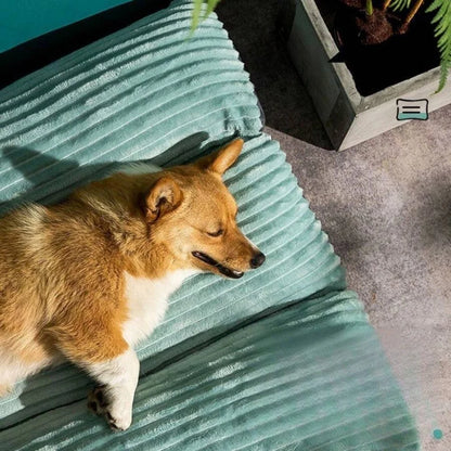 Dog Sofa - Supportive Dog Sofa - Extra-Large Dog Pet Bed, Suitable For All Climates.