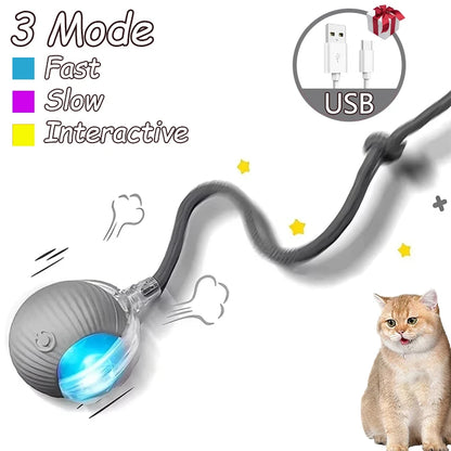 2Pcs Cat Interactive Ball Toys Automatic Rolling Ball