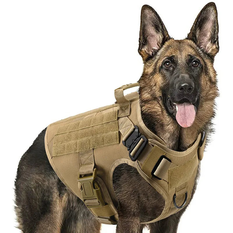 Large Dog Harness and Leash Set. Training Walking Vest Dog Harness and Collar for Medium Large Dogs