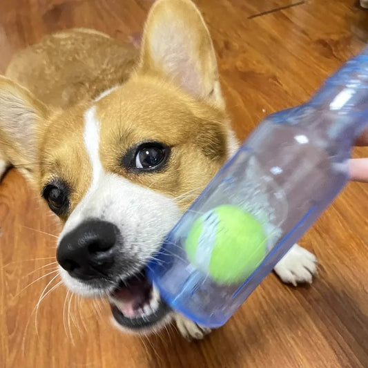 Pet Chew Toy Bite-resistance Beer Bottle