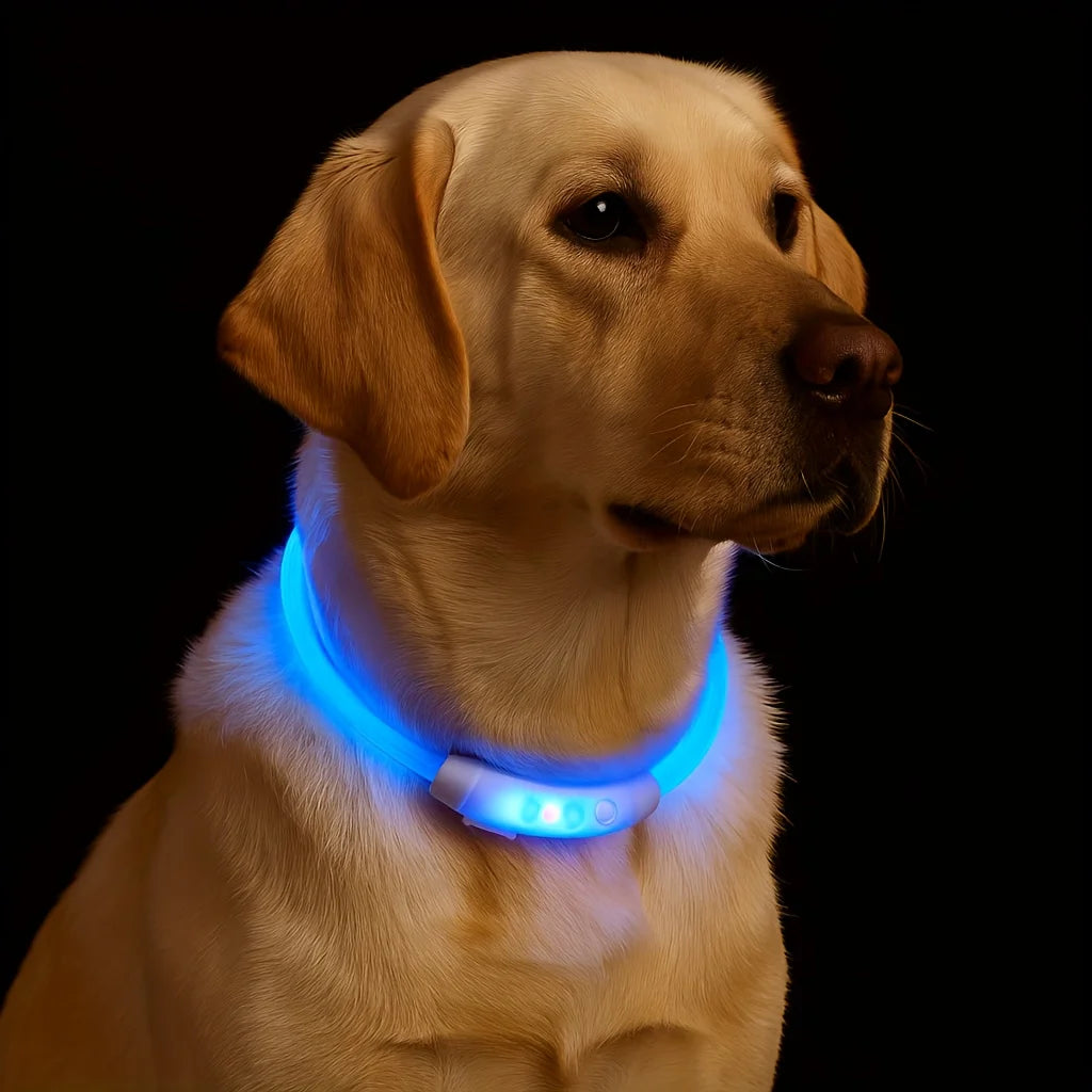 New LED Dog Collar USB Rechargeable，