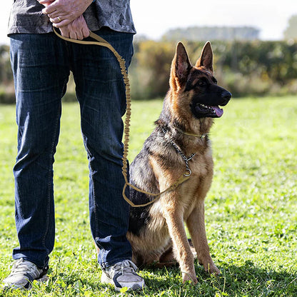 Military Dog Leashes. Adjustable Leash with Quick Release Elastic Rope,