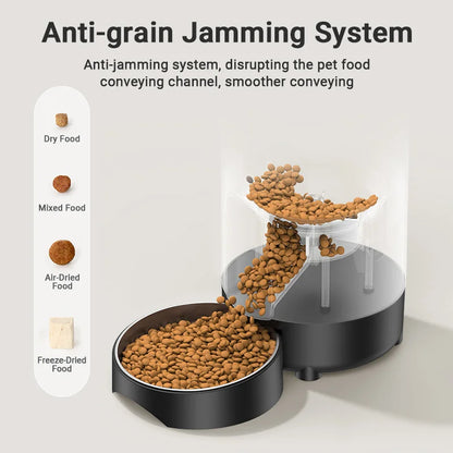 2L Automatic Pet Feeder Smart Cat Food Kibble Dispenser