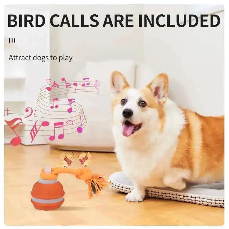 Smart Dog Toys Interactive Teasing Ball Motion Activated