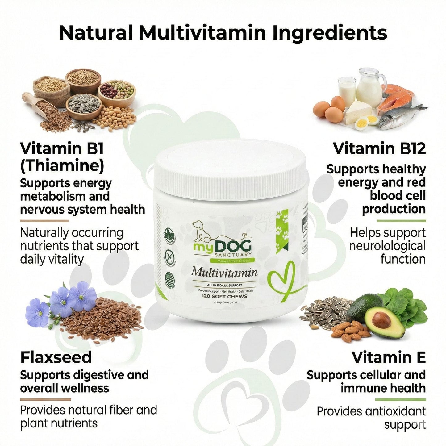 Sanctuary Strength Daily Multivitamin Chews